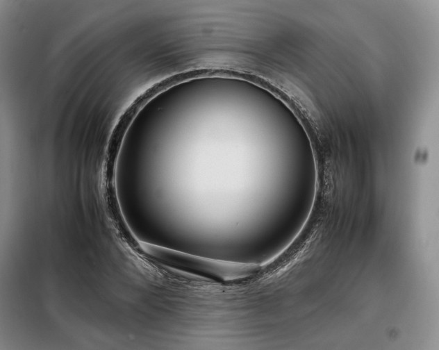 X0000099310880200805021312