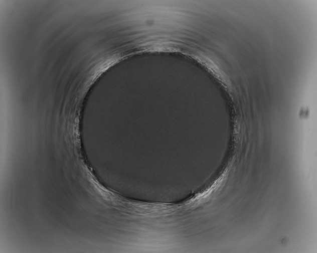 X0000099310881200805021312