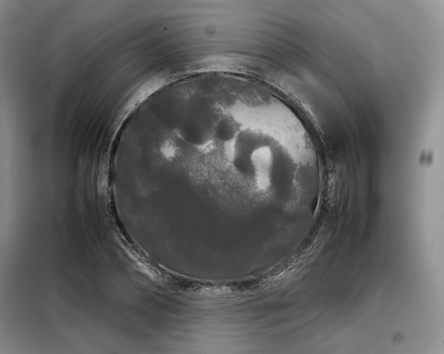 X0000099310882200805021312