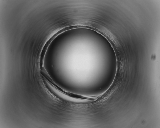 X0000099310884200805021312