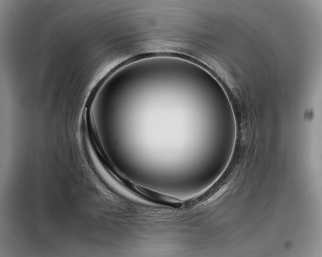 X0000099310885200805021312