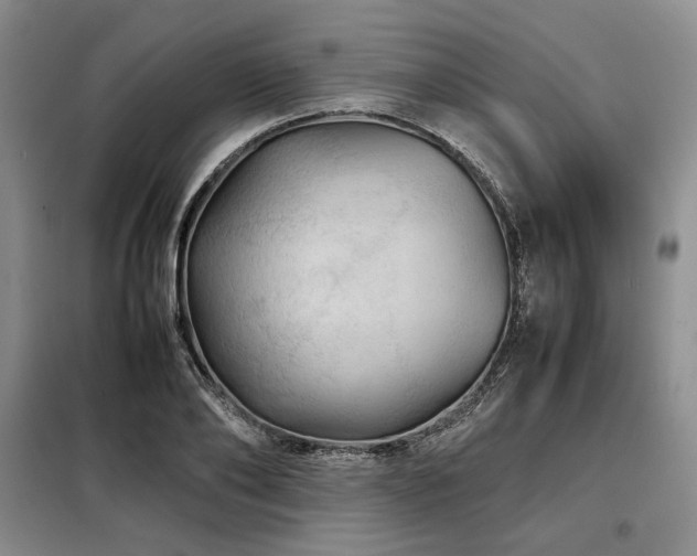 X0000099310886200805021312