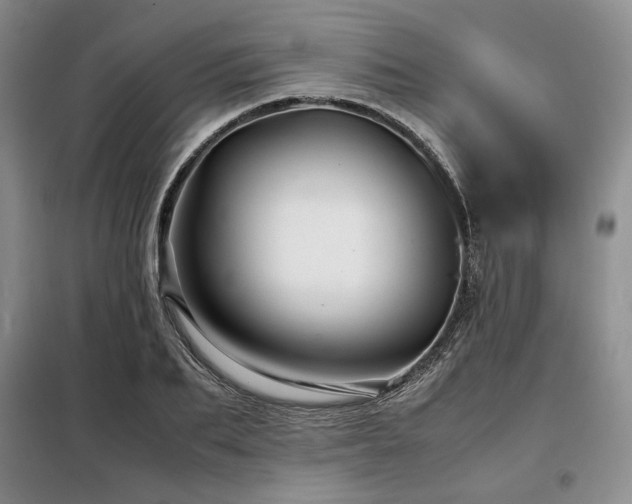 X0000099310887200805021311