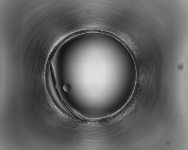 X0000099310888200805021311