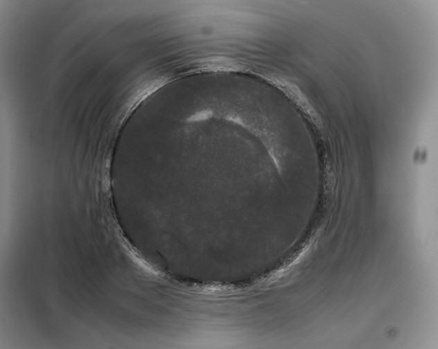 X0000099310889200805021311
