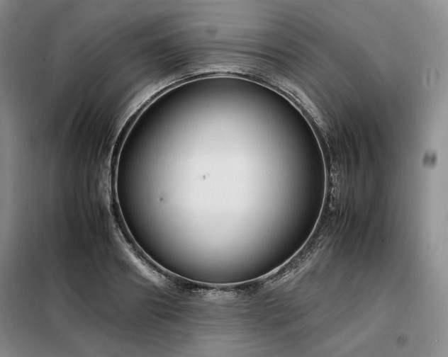 X0000099310890200805021311