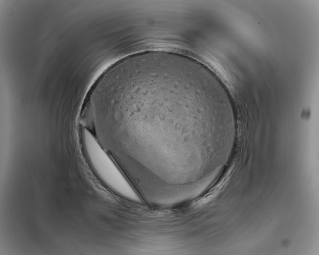 X0000099310891200805021311