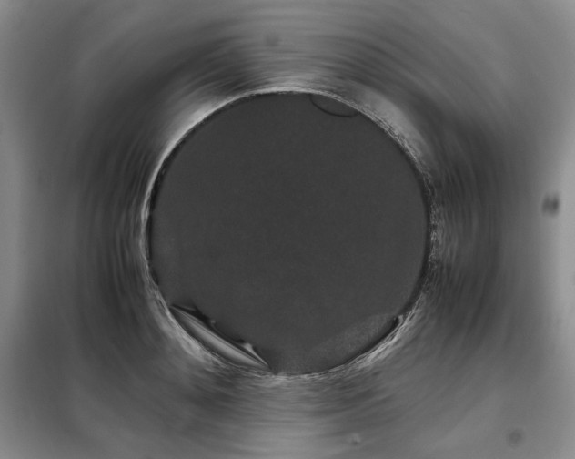 X0000099310892200805021311