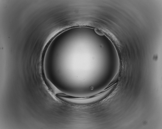 X0000099310894200805021311