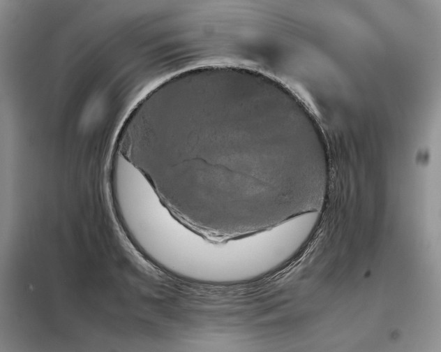 X0000099310895200805021311
