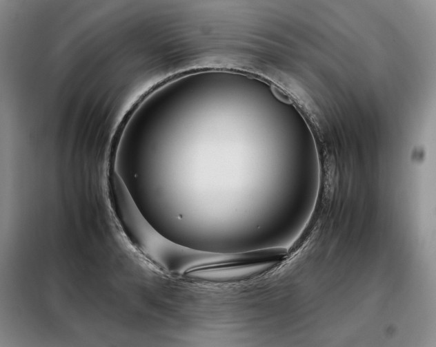 X0000099310896200805021311