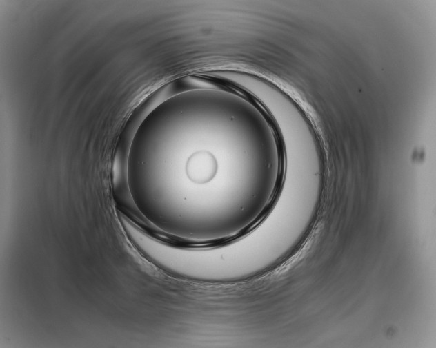 X0000099310897200805021311