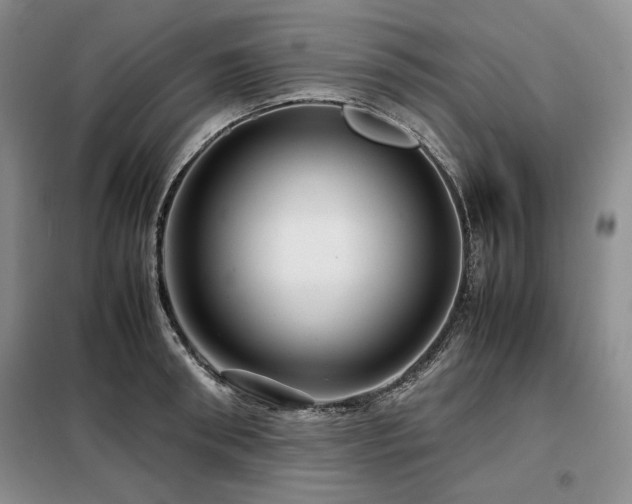 X0000099310898200805021311