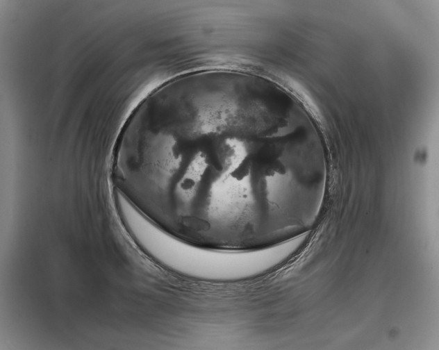 X0000099310899200805021311