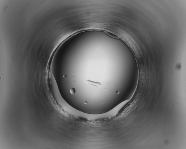 X0000099310900200805021311