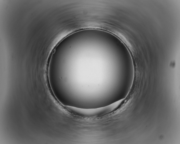 X0000099310901200805021311