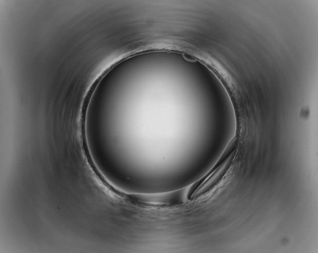 X0000099310902200805021311