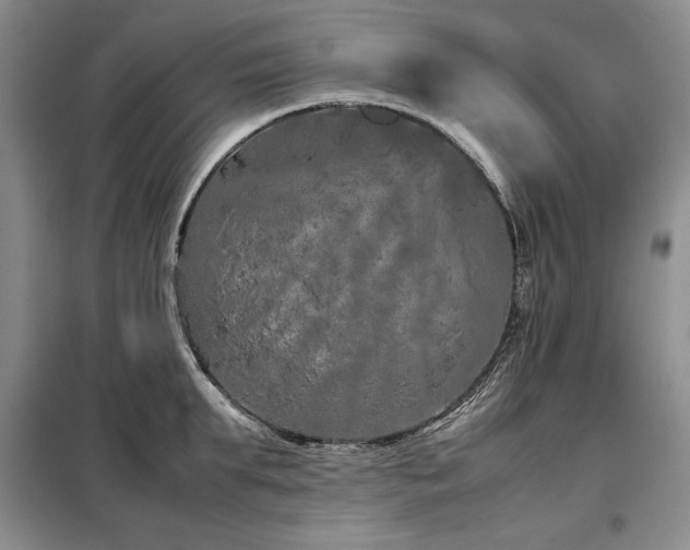 X0000099310903200805021311