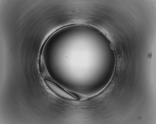 X0000099310904200805021311