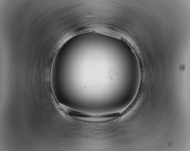 X0000099310905200805021311