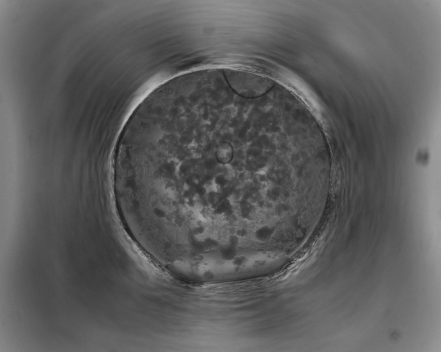 X0000099310907200805021311