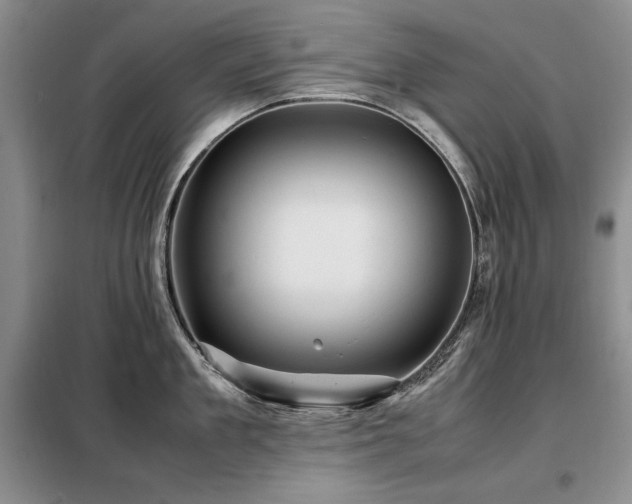 X0000099310909200805021311