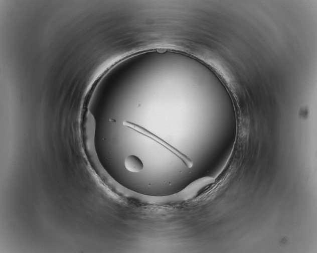 X0000099310910200805021311