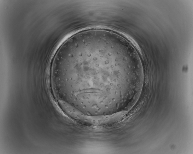 X0000099310911200805021311