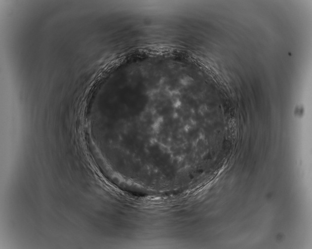 X0000099310913200805021310
