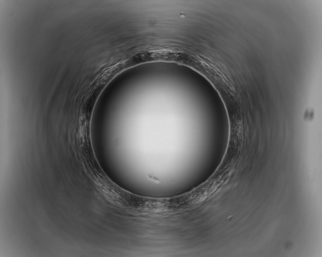 X0000099310914200805021311