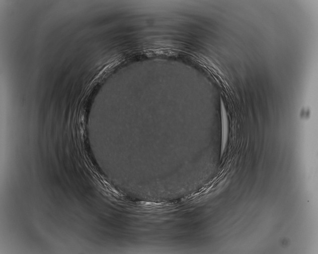 X0000099310915200805021311