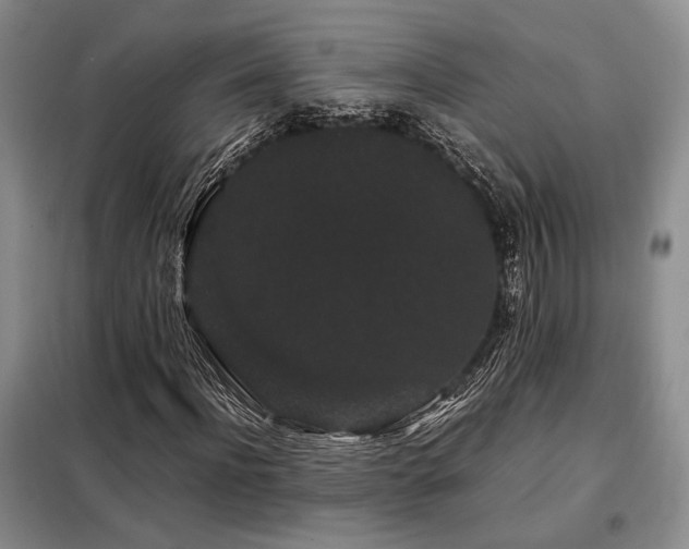 X0000099310916200805021311