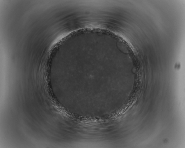X0000099310919200805021311
