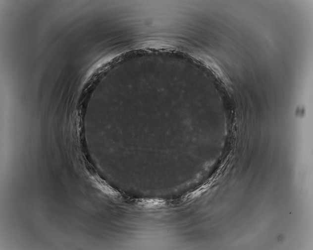 X0000099310920200805021311
