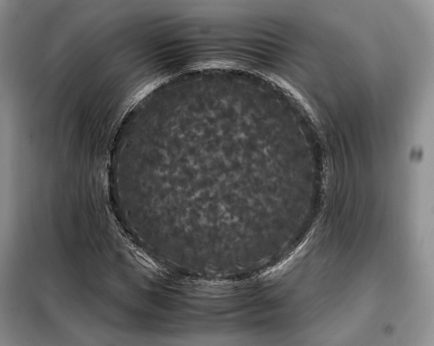 X0000099310921200805021311