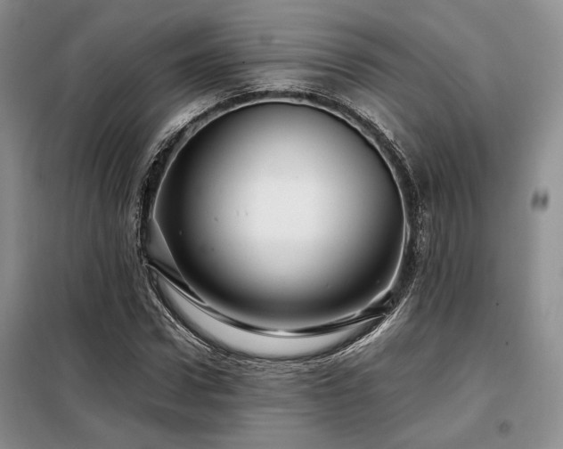 X0000099310922200805021311