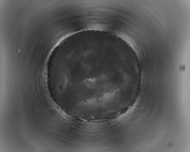 X0000099310923200805021311