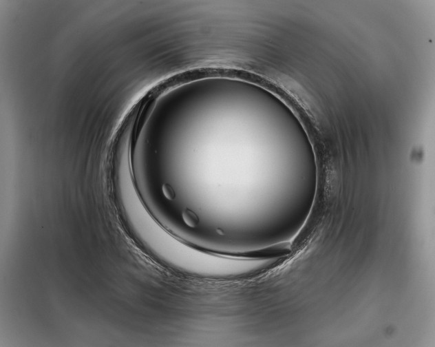 X0000099310926200805021311