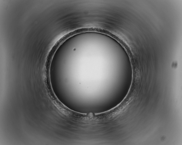 X0000099310927200805021311