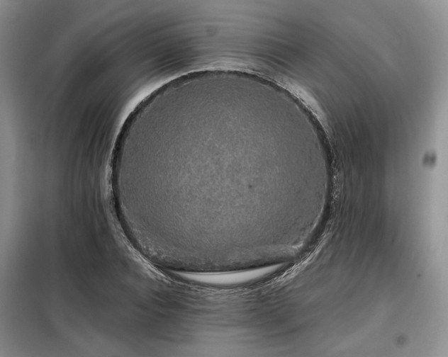 X0000099310928200805021311