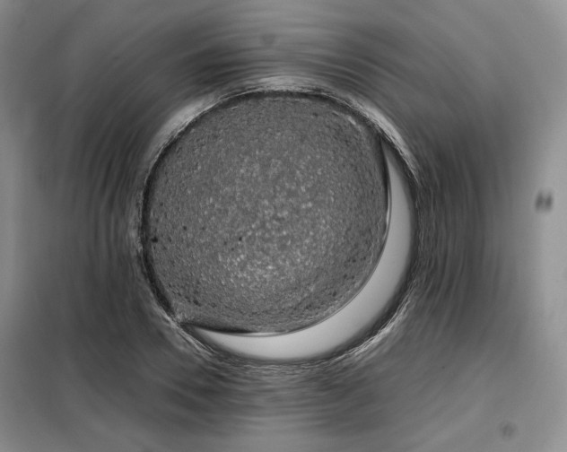 X0000099310930200805021311