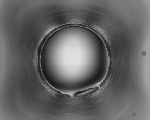 X0000099310931200805021311