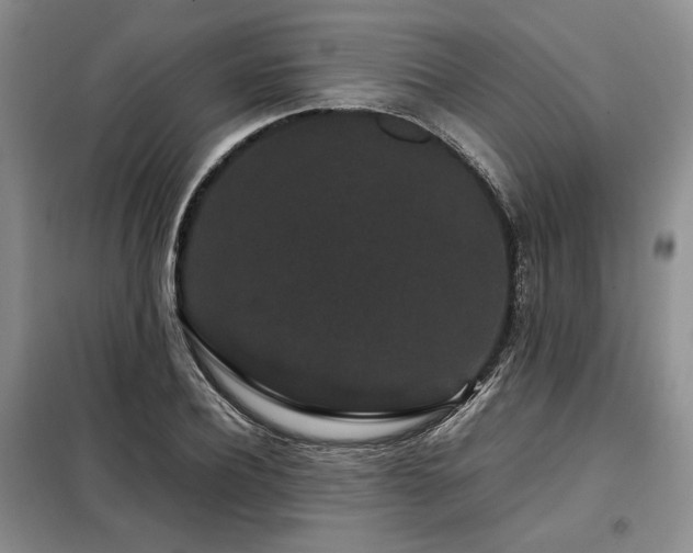 X0000099310932200805021311