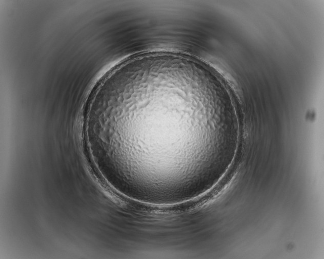 X0000099310933200805021311
