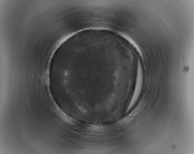 X0000099310935200805021311