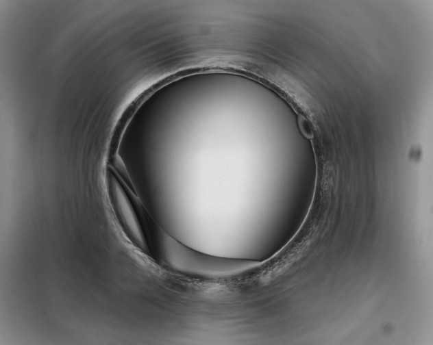 X0000099310936200805021311