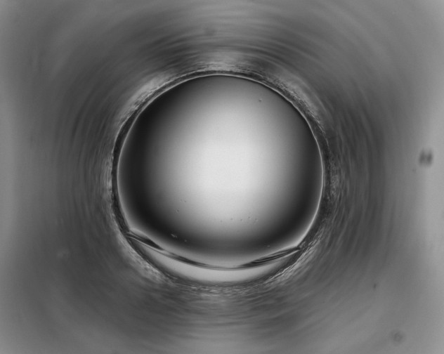 X0000099310938200805021311