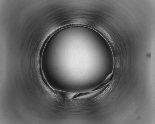 X0000099310939200805021311