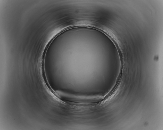 X0000099310941200805021311