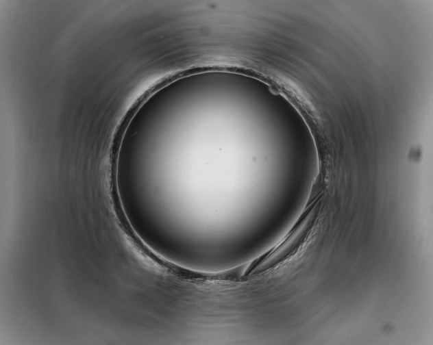 X0000099310942200805021311